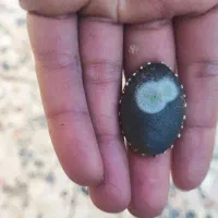 انگشتر عتیقه