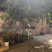 خانه کلنگی ۳واحده|فروش زمین و ملک کلنگی|تهران, شوش|دیوار
