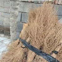 جارو|لوازم نظافت|قروه, |دیوار