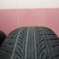 سهره نر|پرنده|رباط‌کریم, شهرک درخشان|دیوار