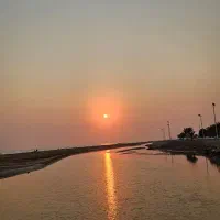 نیروی کار وارد به صبحانه و کافه و بازی های دریایی