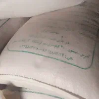 گندم دیم