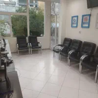 مدرس زبان