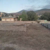 زمین شهر پول داخل بافت