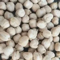 نخود سفید بهاره