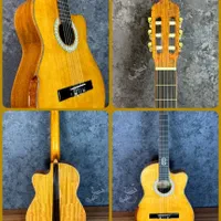 اموزش گیتار در سطح حرفه ای کوتاه مدت