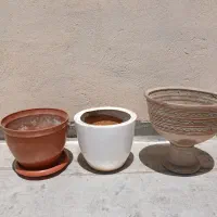 گلدان سالم