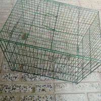 قفس تمیز