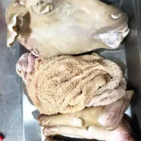 کله پاچه تازه جگر گوسفندی قیمت کشتارگاه