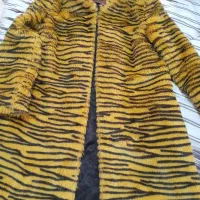 پالتو و کاپشن