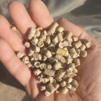 جو...کنسانتره