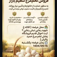 فروش تخم مرغ تنظیم بازار