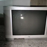 تلوزیون