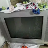 تلویزیون