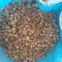 فروش انجیر|خوردنی و آشامیدنی|نی‌ریز, |دیوار