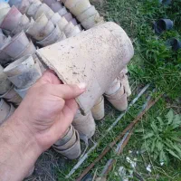 گلدان سفالی سالم