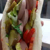 جذب نیروی کار آقا در بم