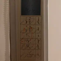 پرده زبرا