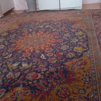 یک عدد فرش 12 متری و گلیم 9متر هردو سالم بدون پاگی|فرش|مهاباد (آذربایجان غربی), |دیوار