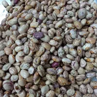 لوبیا|خوردنی و آشامیدنی|سراب, |دیوار