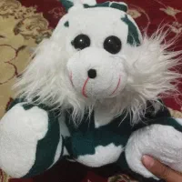 عروسک|اسباب‌‌بازی|ساوه, |دیوار