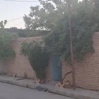 خانه ویلای