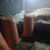 کاه تازه امسال