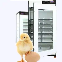 دستگاه جوجه کشی اقساط