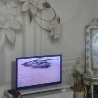 تلویزیون‌ال‌جی