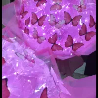 دسته گل پروانه با چراغ اماده و فوری