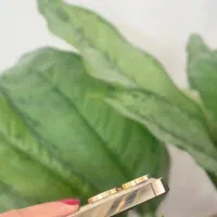 آیفون 13 پرو درحد نو دوسیم کارت|موبایل|رشت, امین الضرب|دیوار