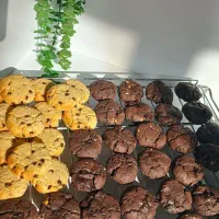 کوکیتو|خوردنی و آشامیدنی|قم, کیوانفر|دیوار