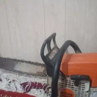قطع انواع درخت در باغ یا منزل