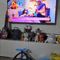 نیاز به همیار کودک دلسوز و فعال