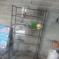استند پفک قفسه دیواری یخچال