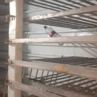 جوشکاری سیار۲۴ساعته|خدمات پیشه و مهارت|میناب, |دیوار