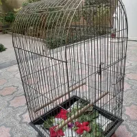 قفس کاسکو سالم و تمیز