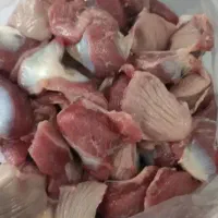 سنگدان تازه و منجمد شمش شده|خوردنی و آشامیدنی|هشتگرد, شهرک ولیعصر (مصلی)|دیوار