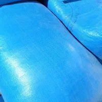 گندم کوهدشت اصلاح شده