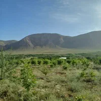 زمین کشاورزی جهت ساخت گلخانه