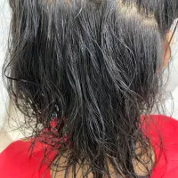 رفع قطعی شپش|آرایشی، بهداشتی، درمانی|اردکان, |دیوار