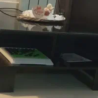 میز وسط و گل میز
