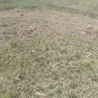 300 متر مسکونی شهر اسالم شدیدا زیر قمیت پول لازم