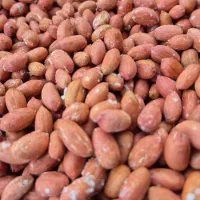 بادام زمینی وکره بادام|خوردنی و آشامیدنی|کیاشهر, |دیوار