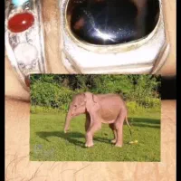 انگشتر شجرقائن