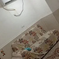 سوییت روزانه|اجارهٔ کوتاه‌مدت آپارتمان و سوئیت|بندر گناوه, |دیوار