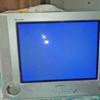 تلویزیون