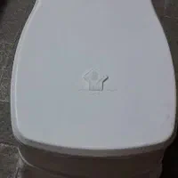 تولت فرنگی مارک توس پیکر