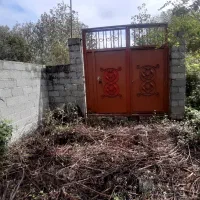 مسکونی دور دیوار|فروش زمین و ملک کلنگی|لشت نشا, |دیوار