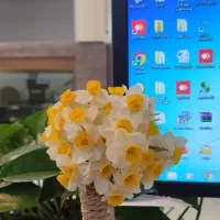 آموزش حسابداری|خدمات آموزشی|خمین, |دیوار